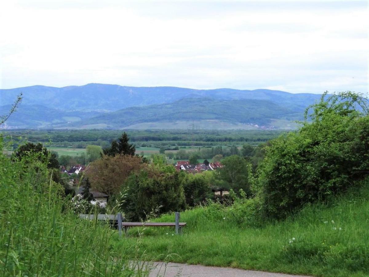 Apartment Zum Rebberg